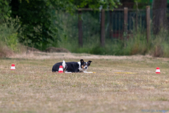 IMG_0440_1800