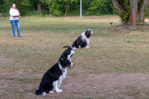 IMG_0106_1800