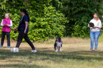 IMG_0147_1800