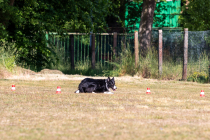 IMG_0154_1800