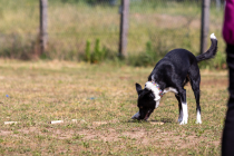IMG_0180_1800
