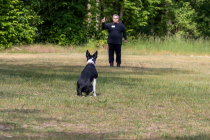 IMG_0186_1800