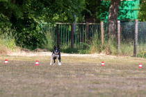 IMG_0205_1800