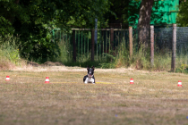 IMG_0206_1800