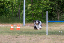 IMG_0221_1800