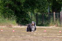 IMG_0257_1800