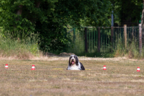 IMG_0258_1800