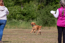 IMG_0312_1800