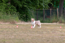 IMG_0352_1800