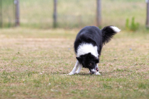 IMG_0382_1800