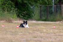 IMG_0405_1800