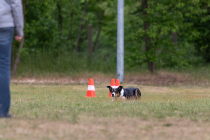 IMG_0423_1800