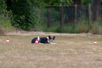 IMG_0440_1800