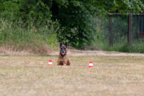 IMG_0472_1800