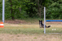 IMG_0479_1800