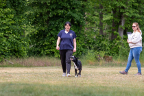 IMG_0490_1800