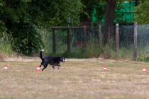 IMG_0492_1800