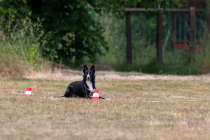 IMG_0493_1800