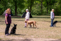 IMG_0497_1800