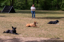IMG_0499_1800