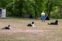 IMG_0504_1800