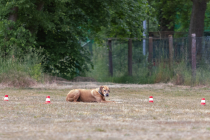 IMG_0510_1800
