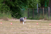 IMG_0522_1800