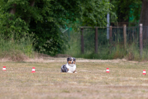 IMG_0523_1800