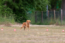 IMG_0528_1800