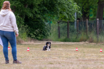 IMG_0537_1800