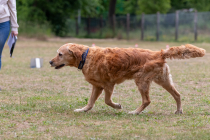 IMG_0547_1800