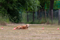 IMG_0551_1800