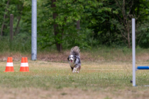 IMG_0563_1800