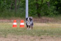 IMG_0565_1800
