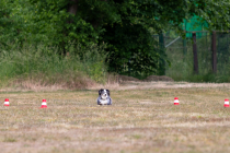 IMG_0571_1800