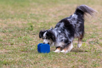 IMG_0573_1800