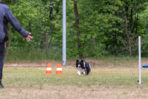 IMG_0575_1800