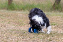 IMG_0584_1800