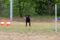 IMG_0597_1800