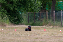 IMG_0607_1800