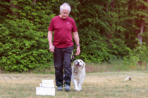 IMG_0899_1800