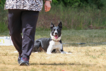 IMG_1067_1800
