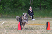 IMG_1127_1800