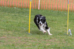 IMG_4046_1800