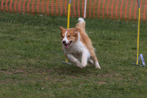 IMG_4122_1800