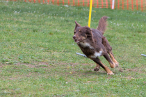 IMG_4297_1800