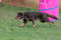 IMG_4304_1800