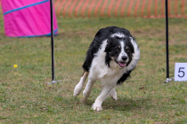 IMG_4402_1800