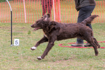 IMG_4504_1800