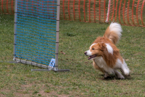 IMG_4645_1800